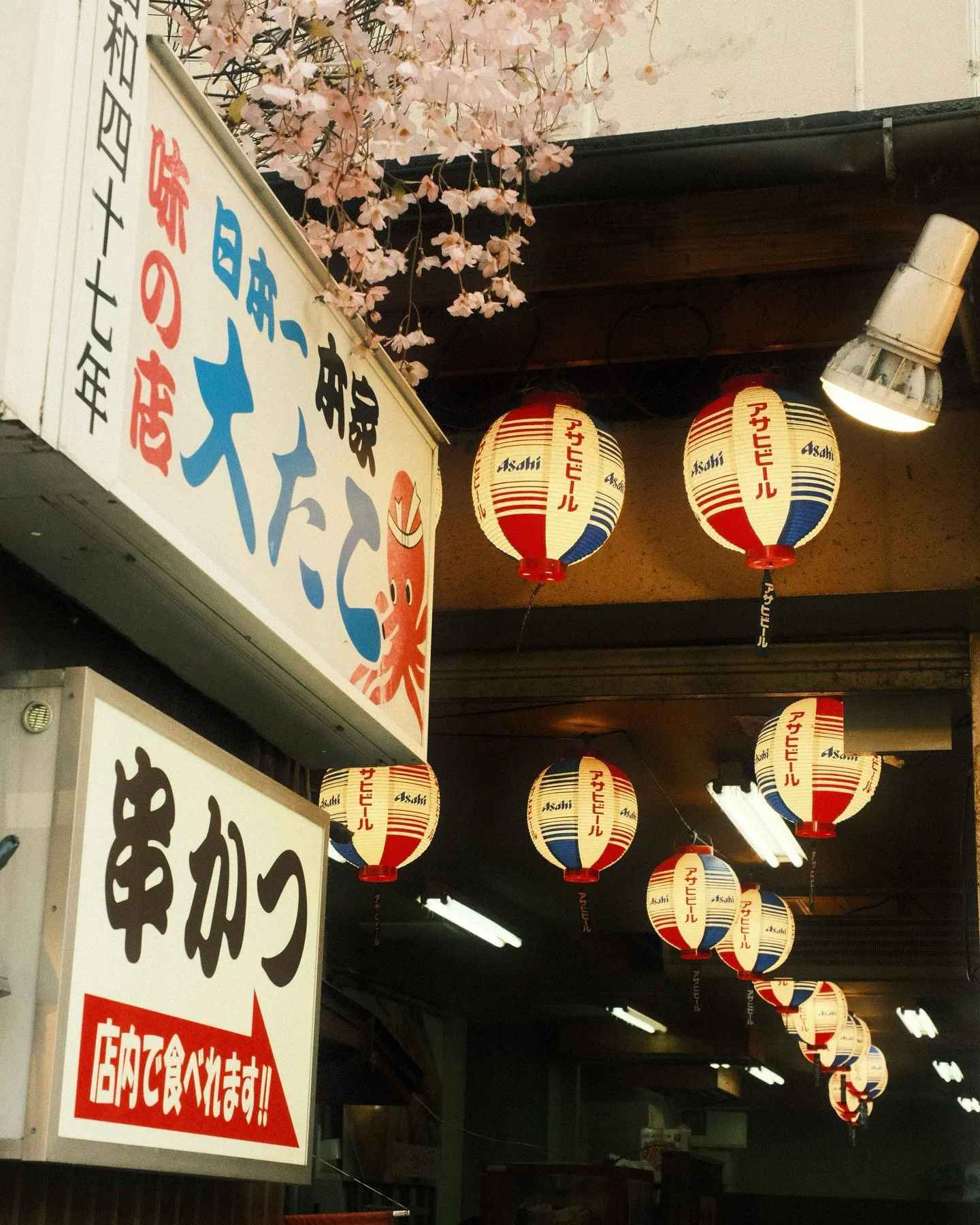 Japan&rsquo;s kitchen