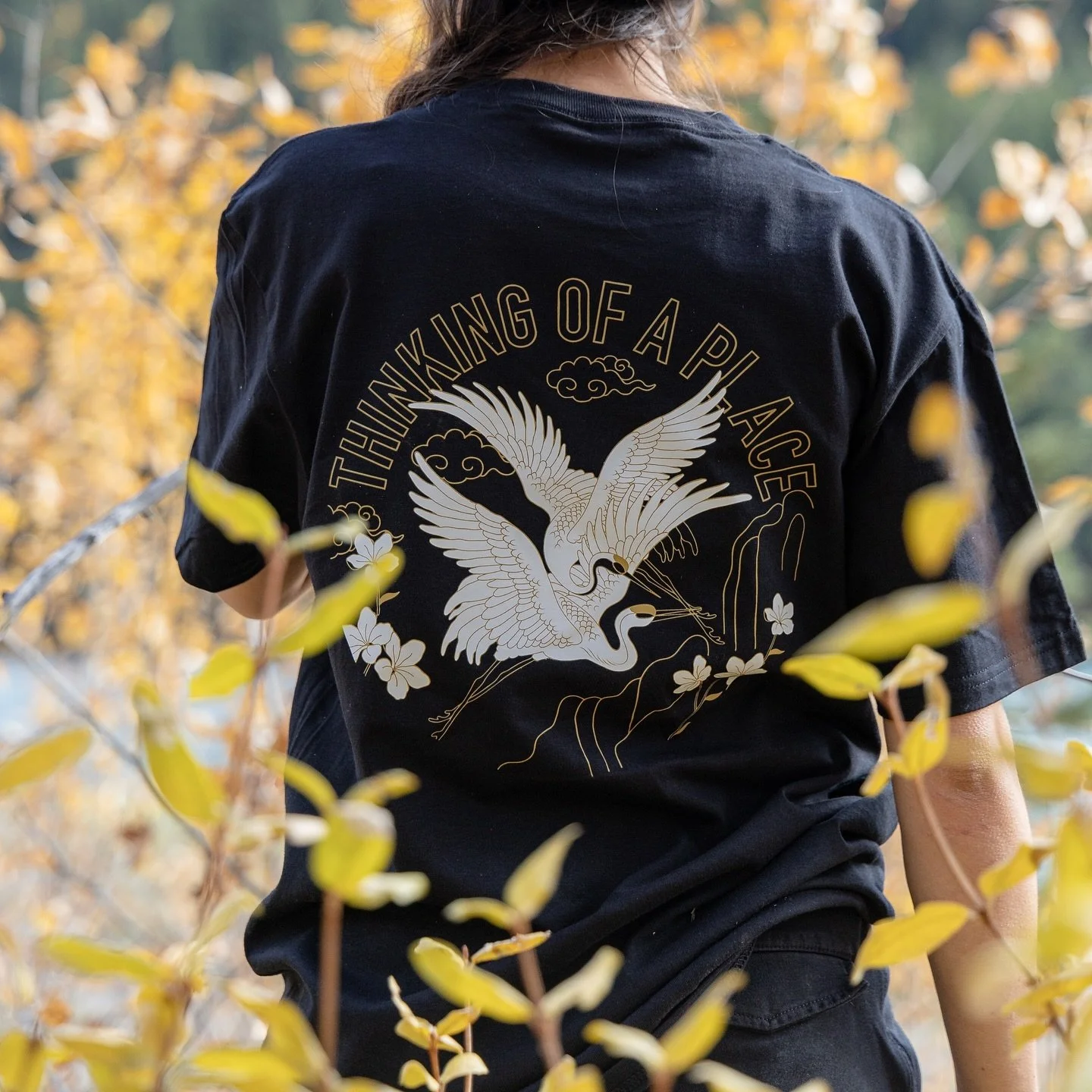 Let It Die third collection THINKING OF A PLACE is NOW AVAILABLE! Fire me a message to get yours ordered.