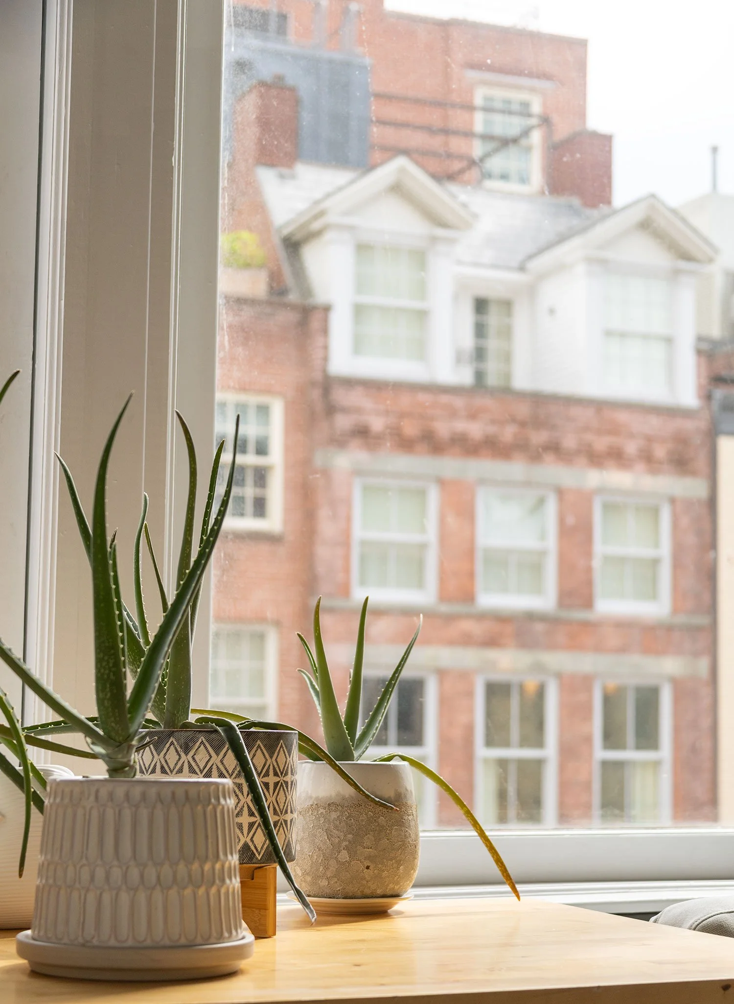 Potted succulent plant on a wooden table near a window with a view of red brick and white building exterior.