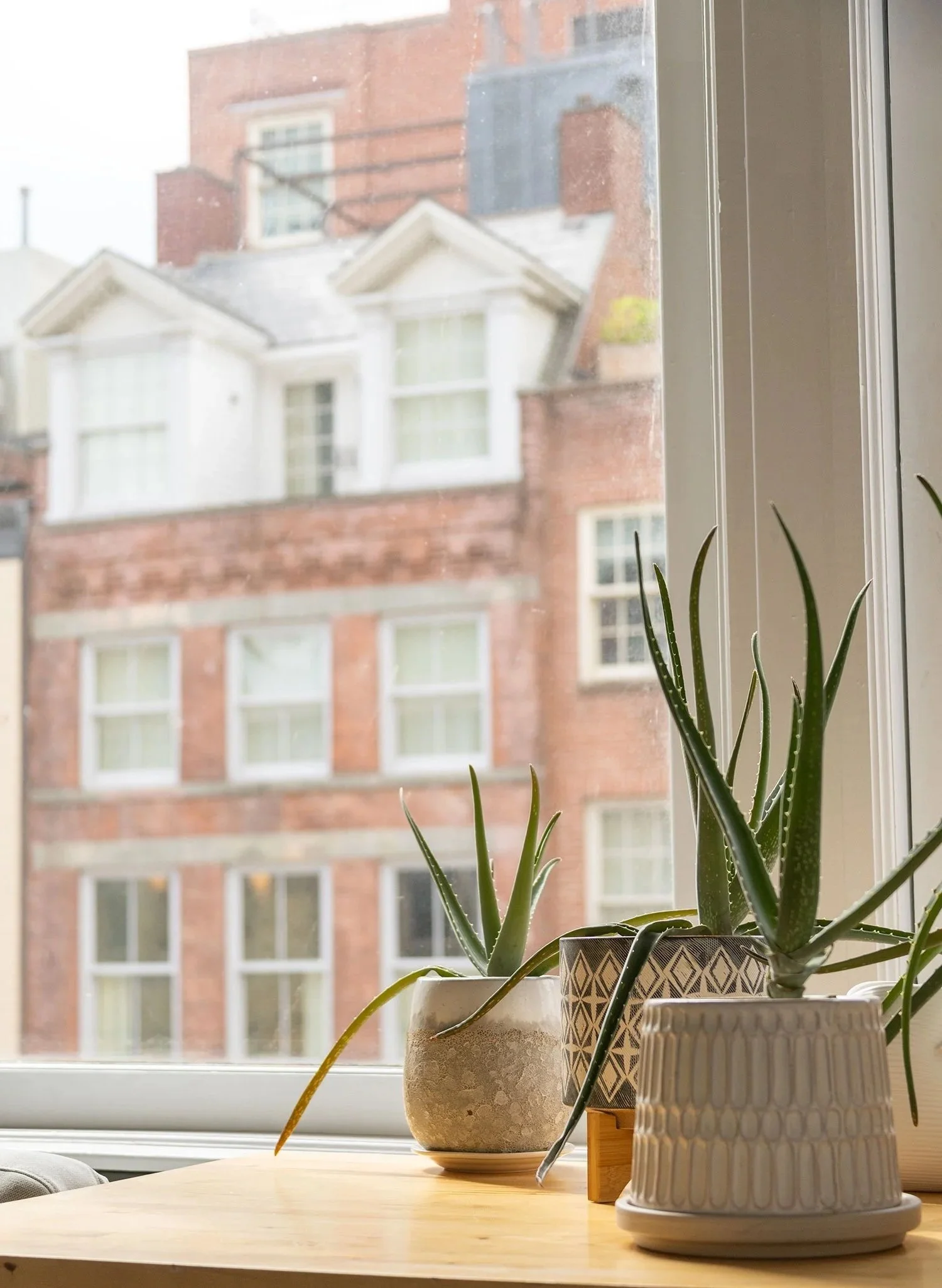 Indoor scene with potted plants on a wooden table near a window, looking out to apartment buildings