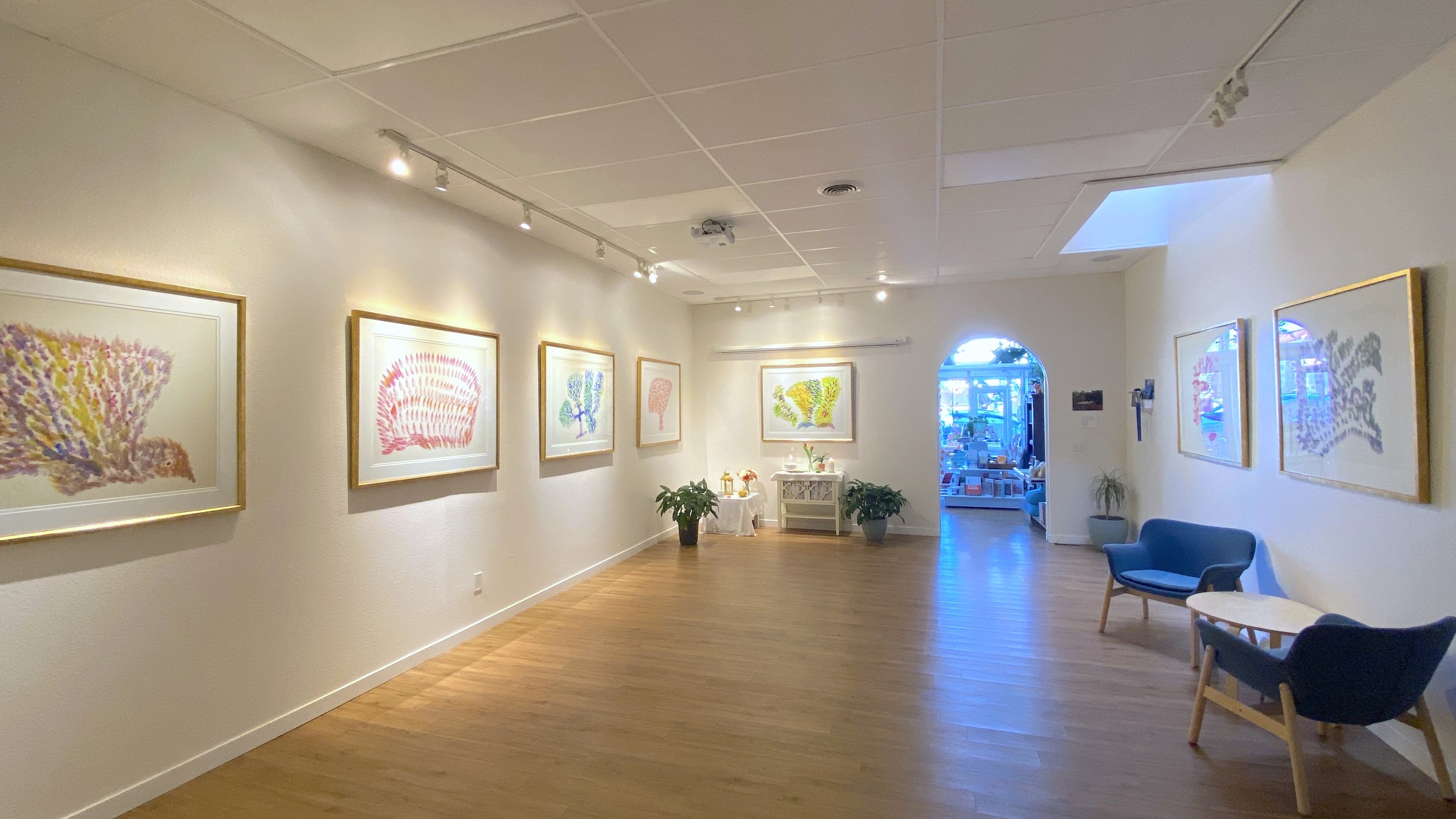 Noble Learning Gallery 1.jpg
