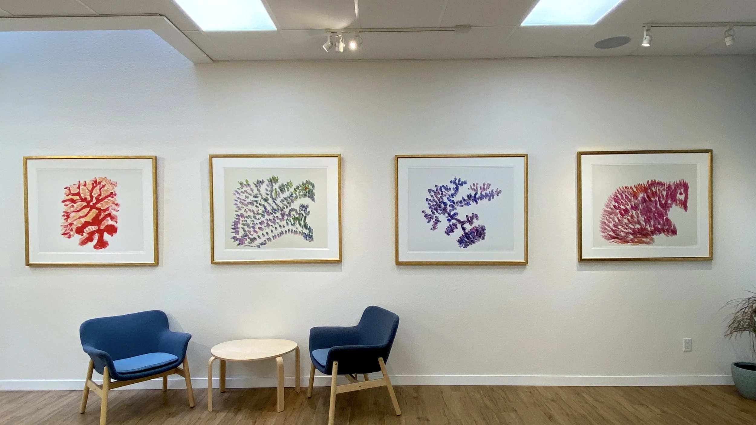 Noble Learning Gallery 2.jpg