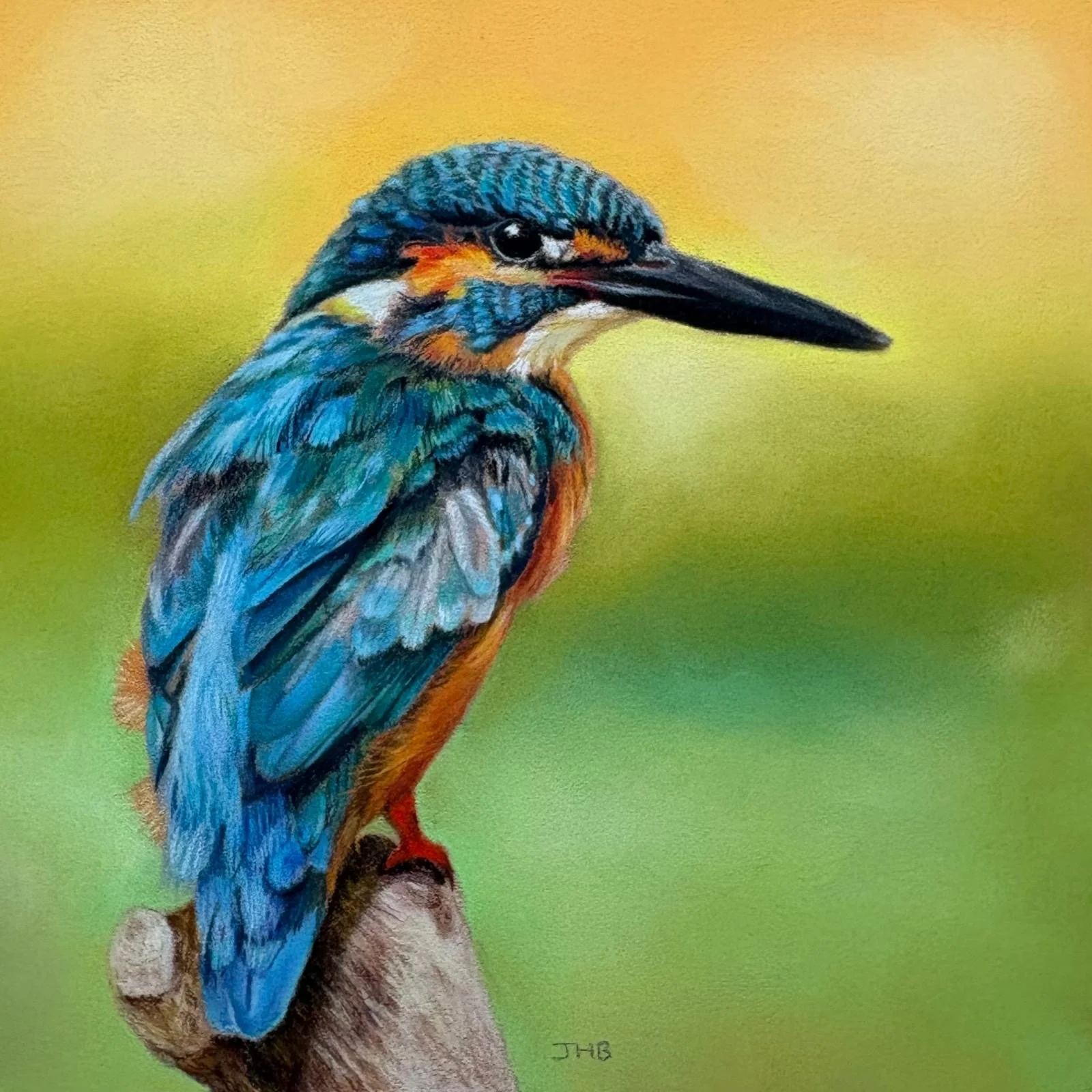 Kingfisher Pastel