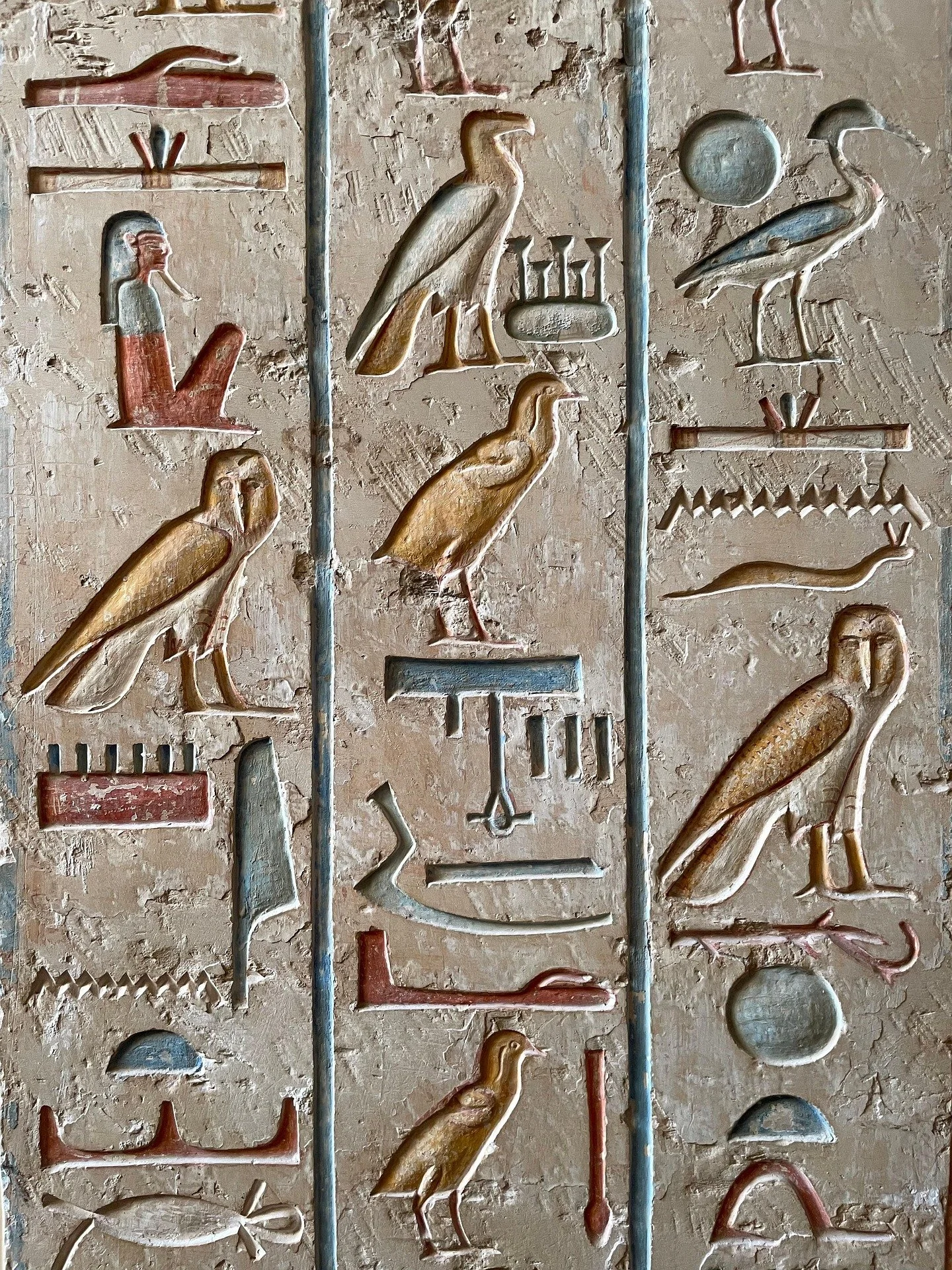 Ancient Egyptian wall carvings depicting hieroglyphics, including birds, snakes, and other symbols.