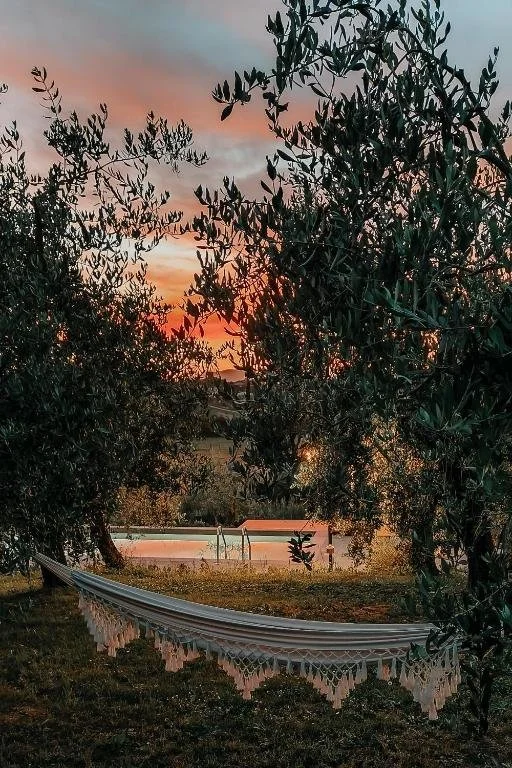 753009108.jpg