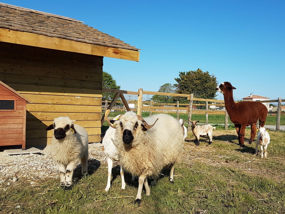 7_mini_ferme.jpg