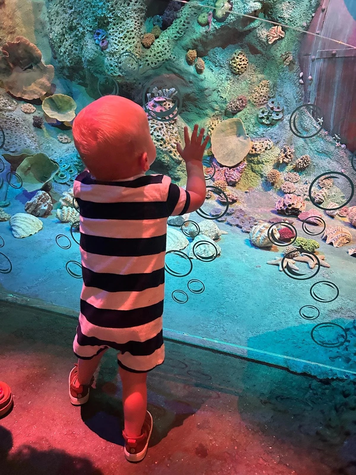 20x leukste indoor herfstvakantie uitjes met kinderen (heel Nederland)