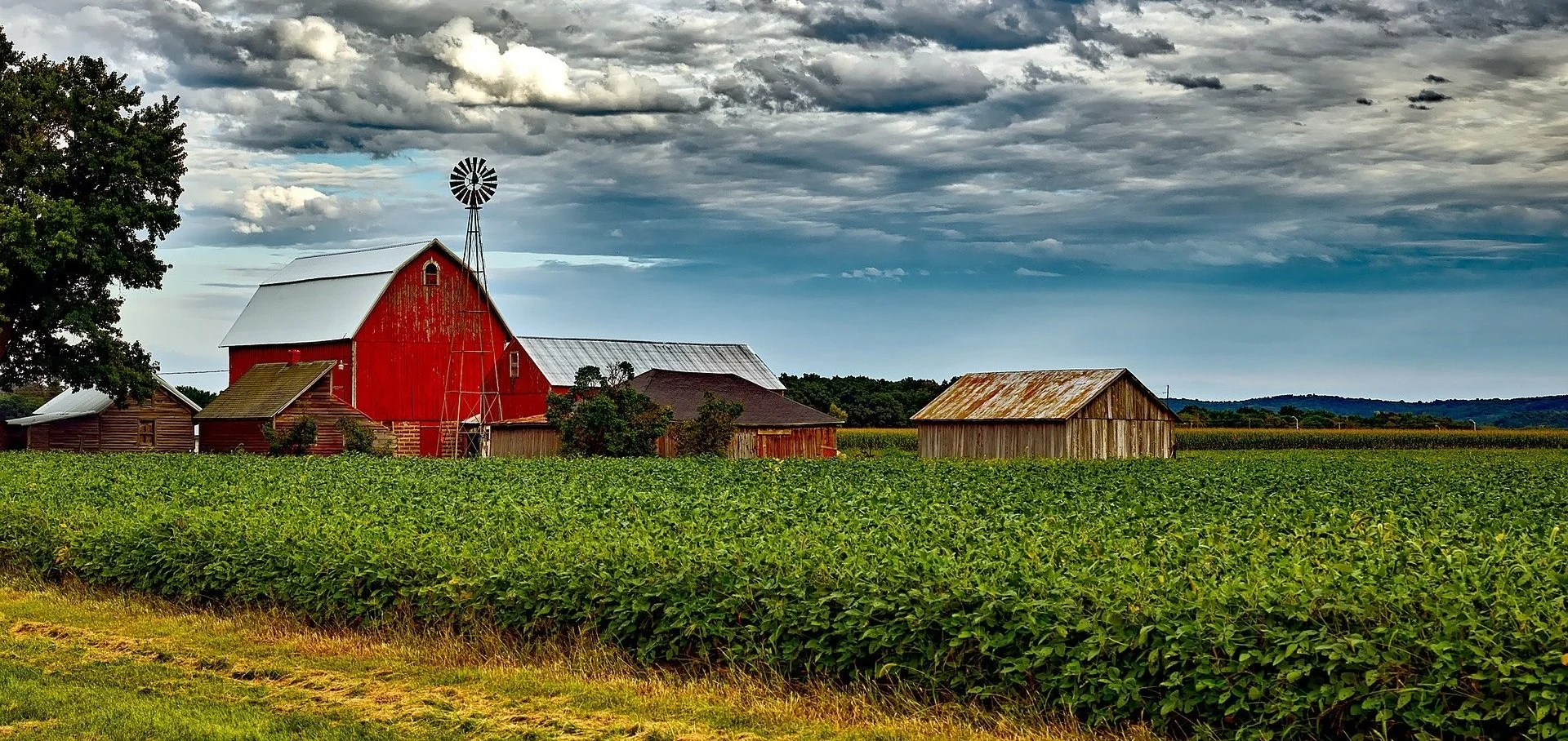 A rural farm scene with a red barn, smaller wooden structures, a windmill, and a green crop field under a cloudy sky.