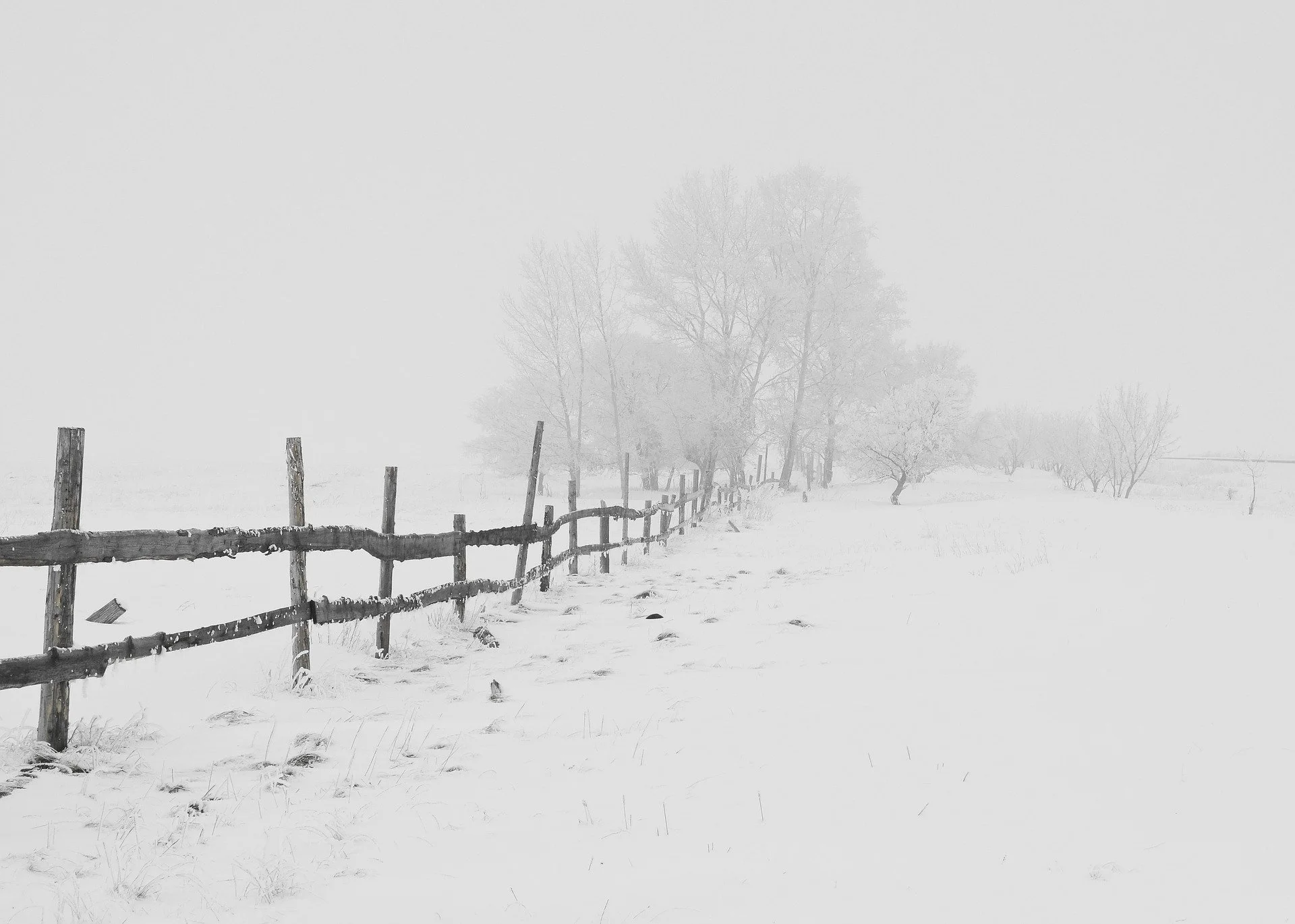 Iowa Land Auction Prices, January 6-12, 2024