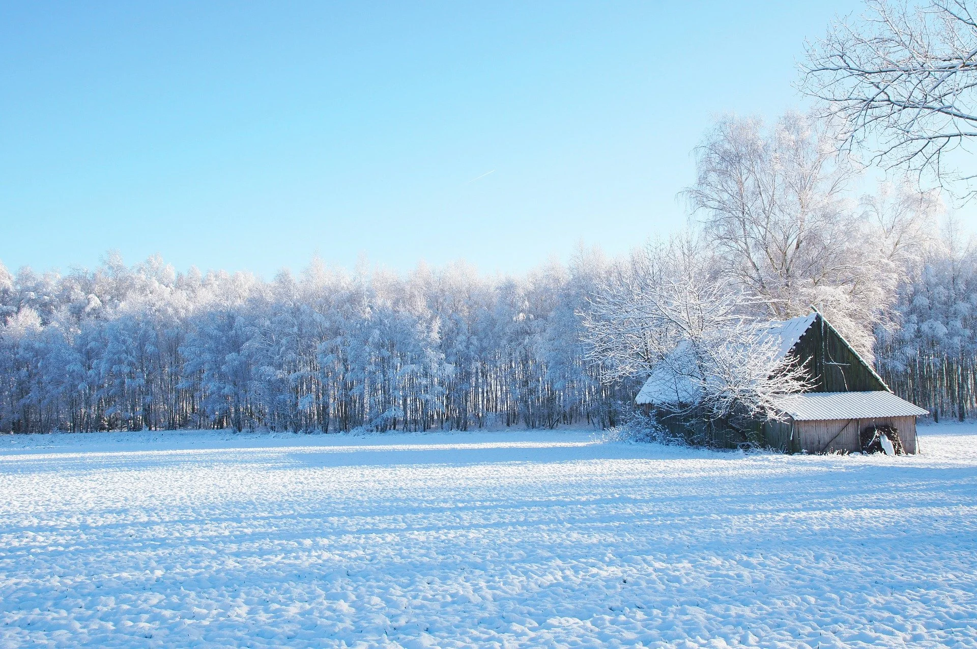 Iowa Land Auction Prices, January 13-19, 2024