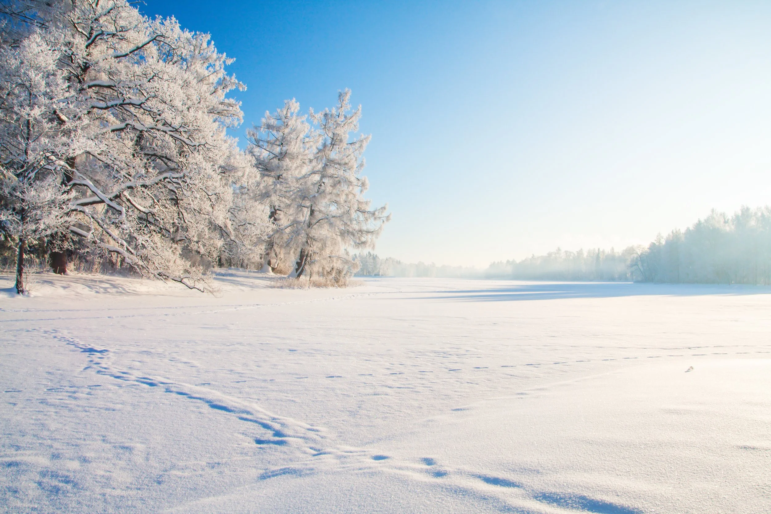 Iowa Land Auction Prices, January 20-26, 2024
