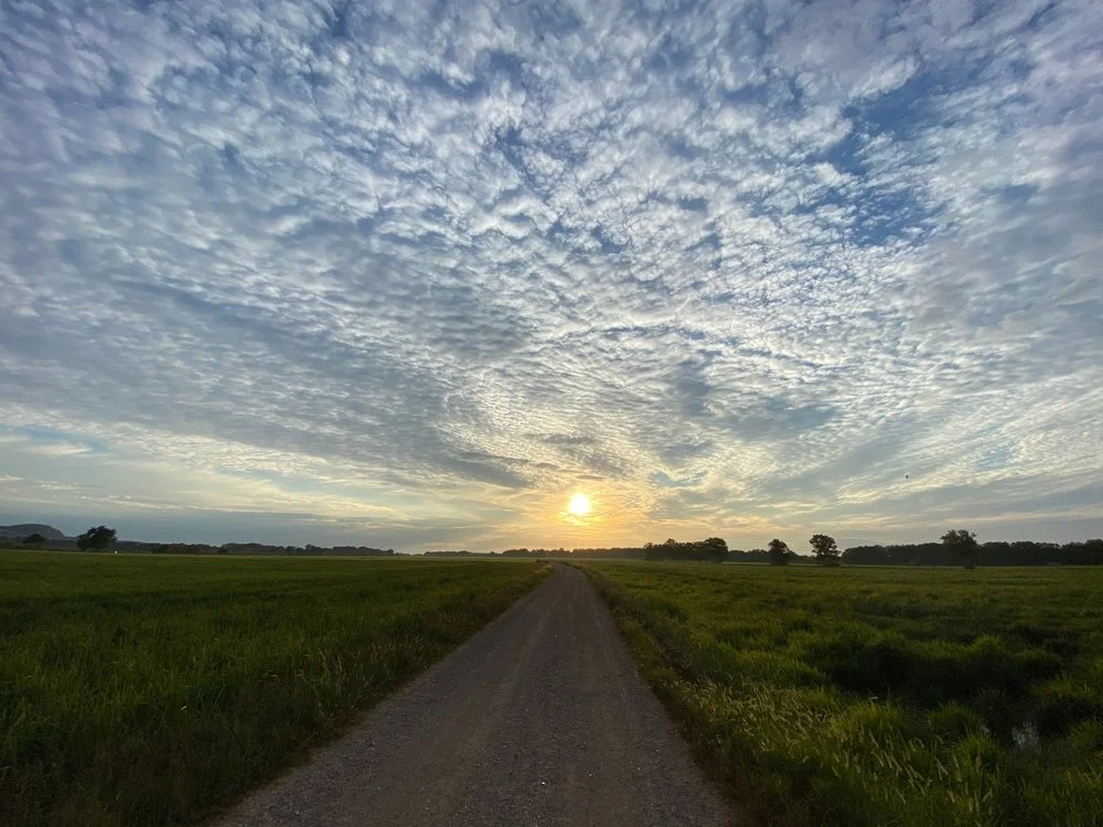 Iowa Land Auction Prices, April 27-May 3, 2024