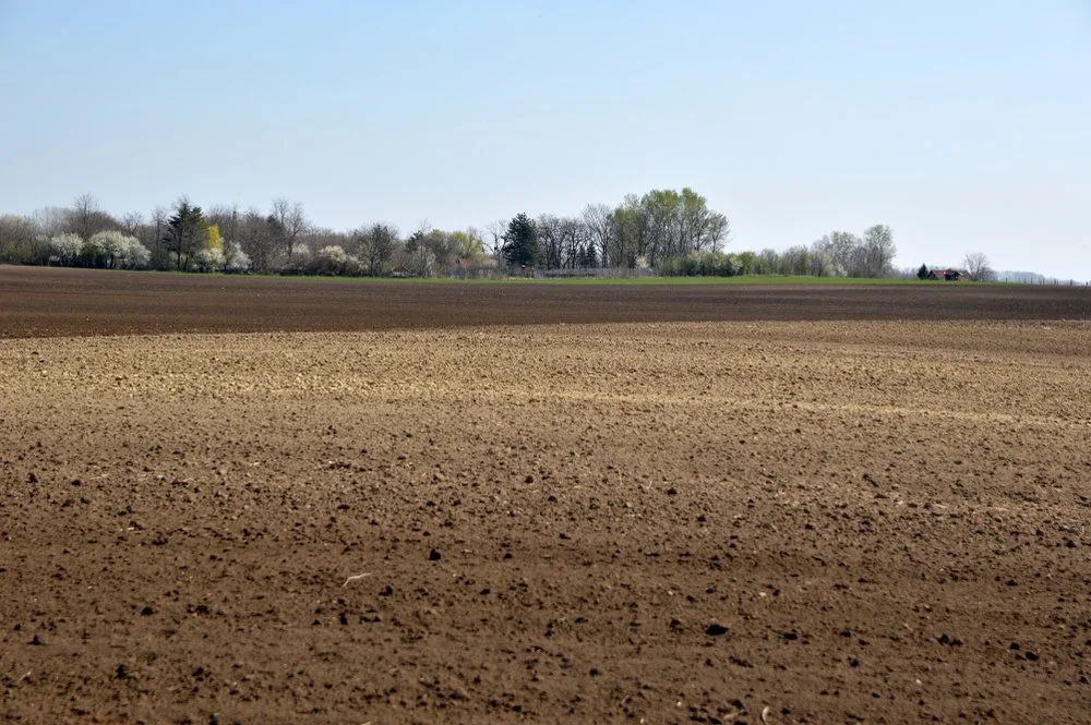 Iowa Land Auction Prices, April 6-12, 2024
