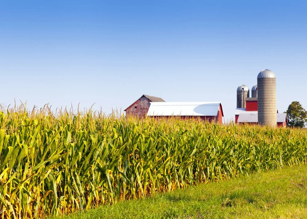 Iowa Land Auction Prices, August 10-16, 2024