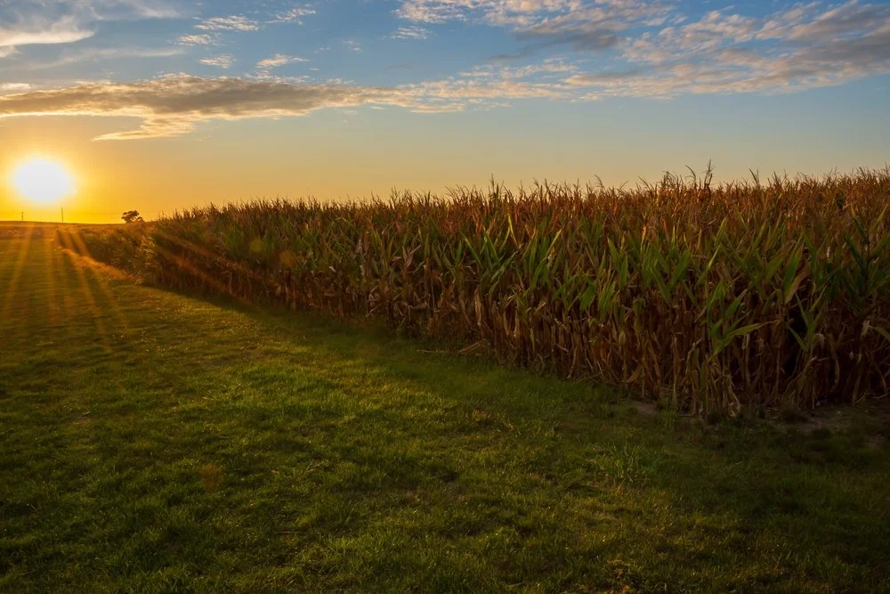 Iowa Land Auction Prices, August 31-September 6, 2024