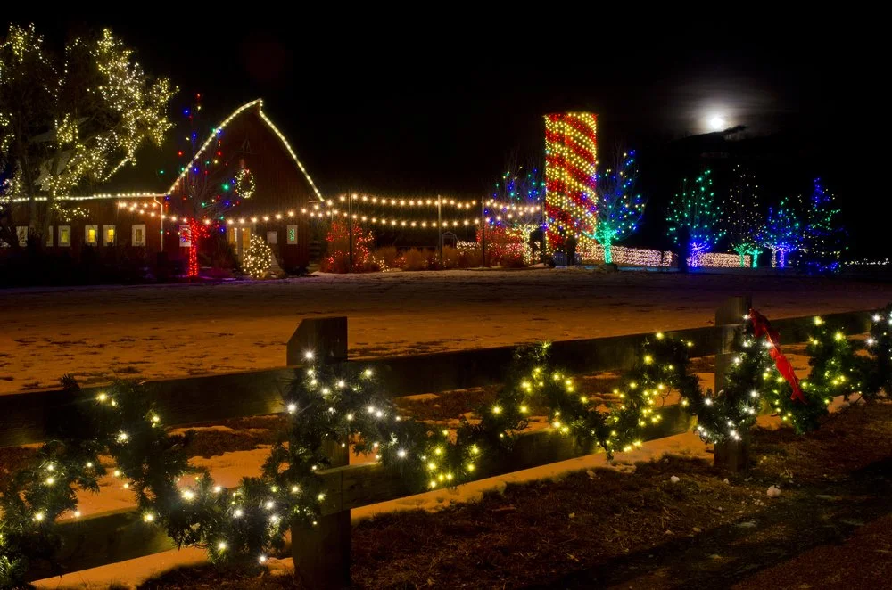 Iowa Land Auction Prices, December 13-19, 2025