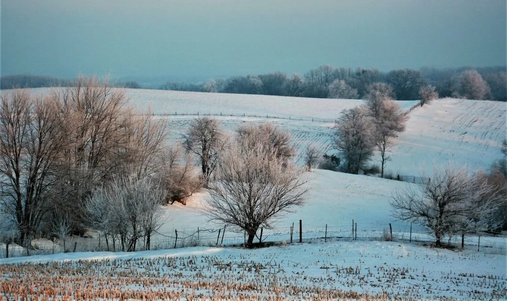 Iowa Land Auction Prices, January 11-17, 2025