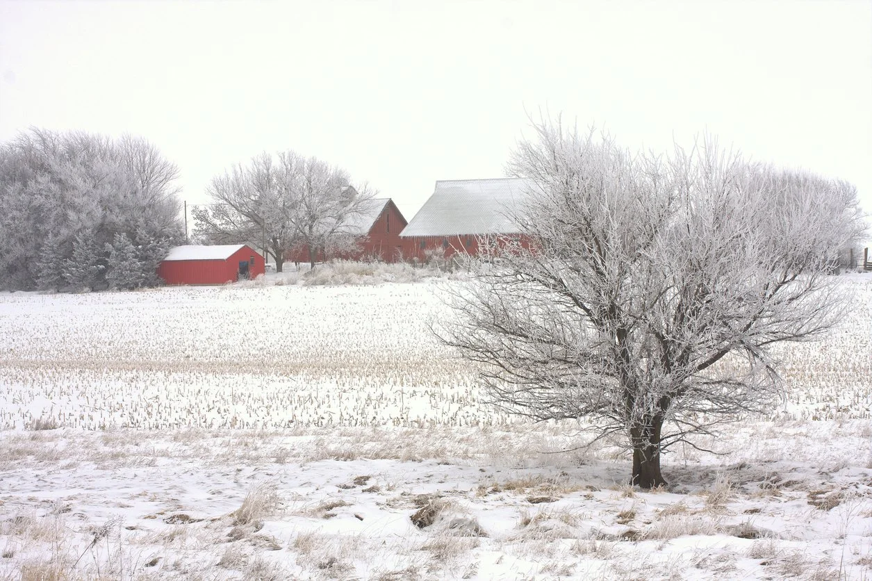 Iowa Land Auction Prices, January 31-February 6, 2026