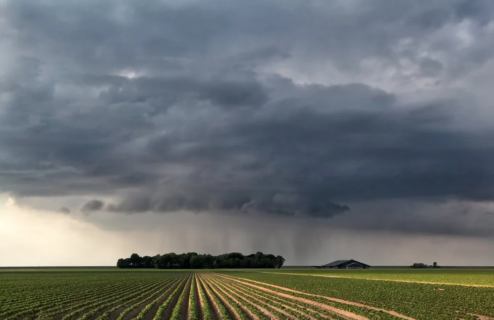 Iowa Land Auction Prices, July 19-25, 2025