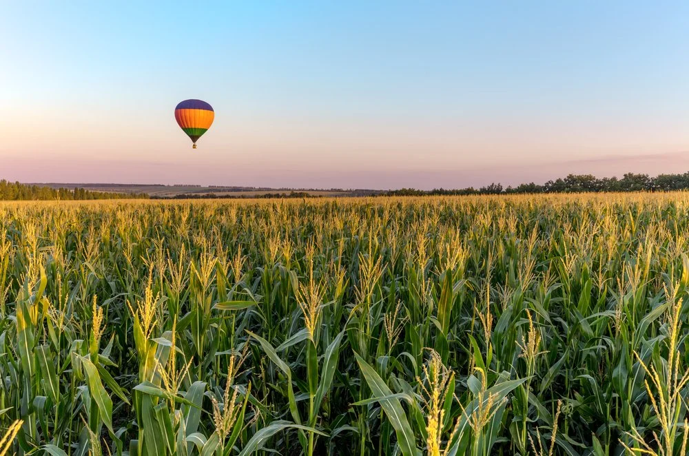 Iowa Land Auction Prices, July 27-August 2, 2024