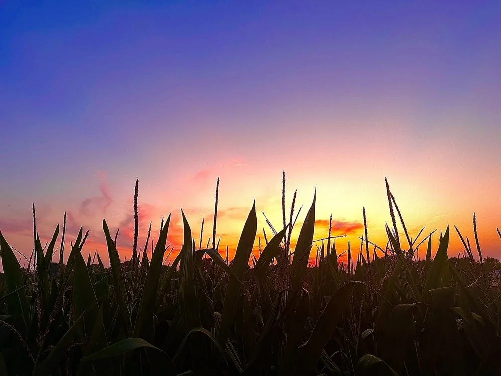 Iowa Land Auction Prices, 5-11, 2025