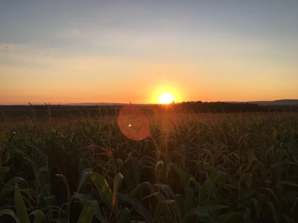 Iowa Land Auction Prices, June 1-7, 2024