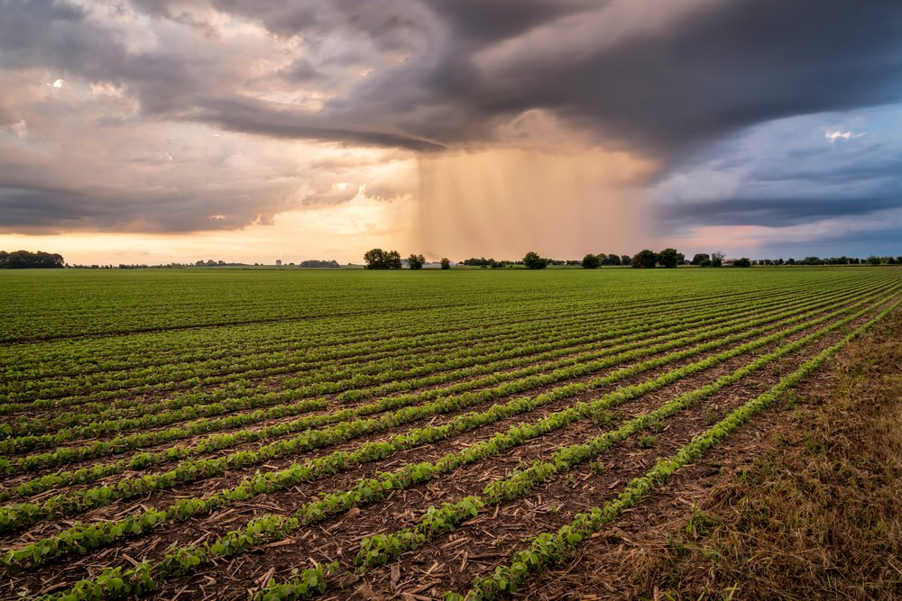 Iowa Land Auction Prices, June 14-20, 2025