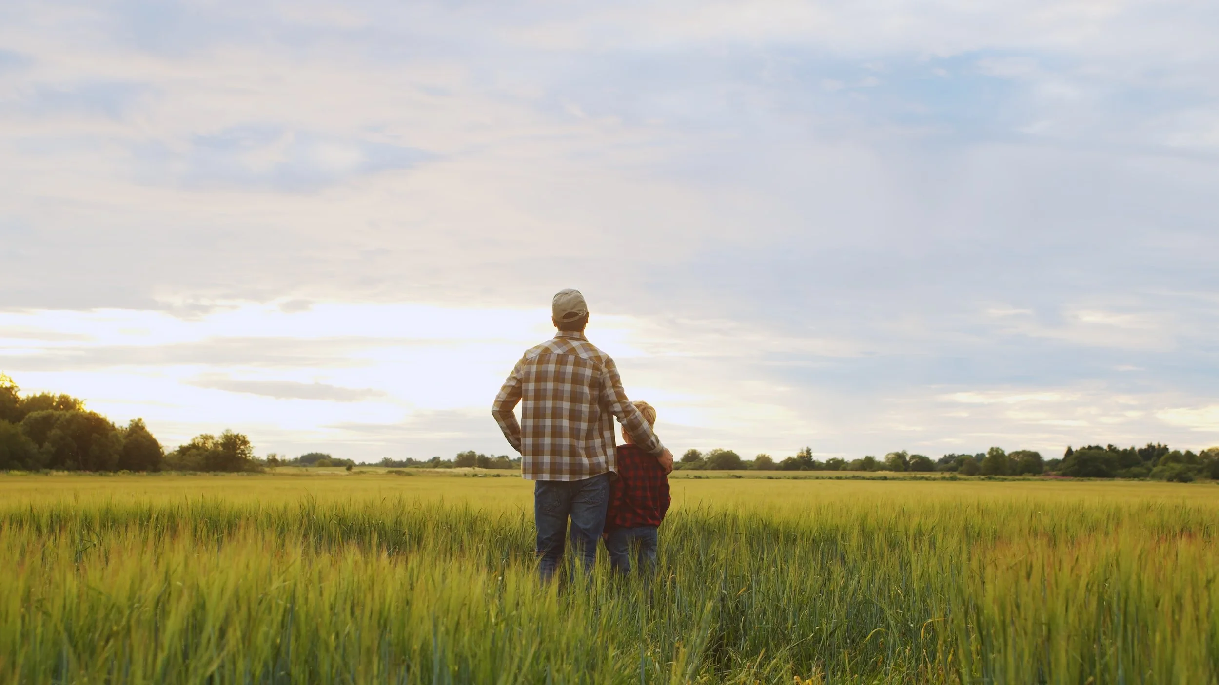 Iowa Land Auction Prices, June 7-13, 2025