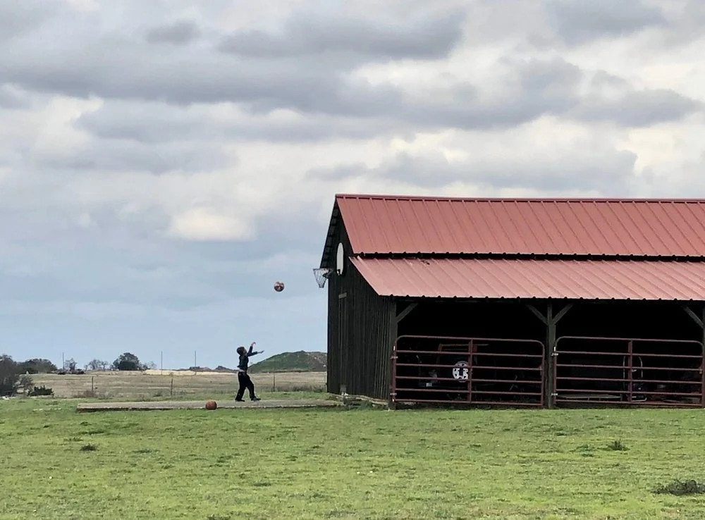 Iowa Land Auction Prices, March 22-28, 2025