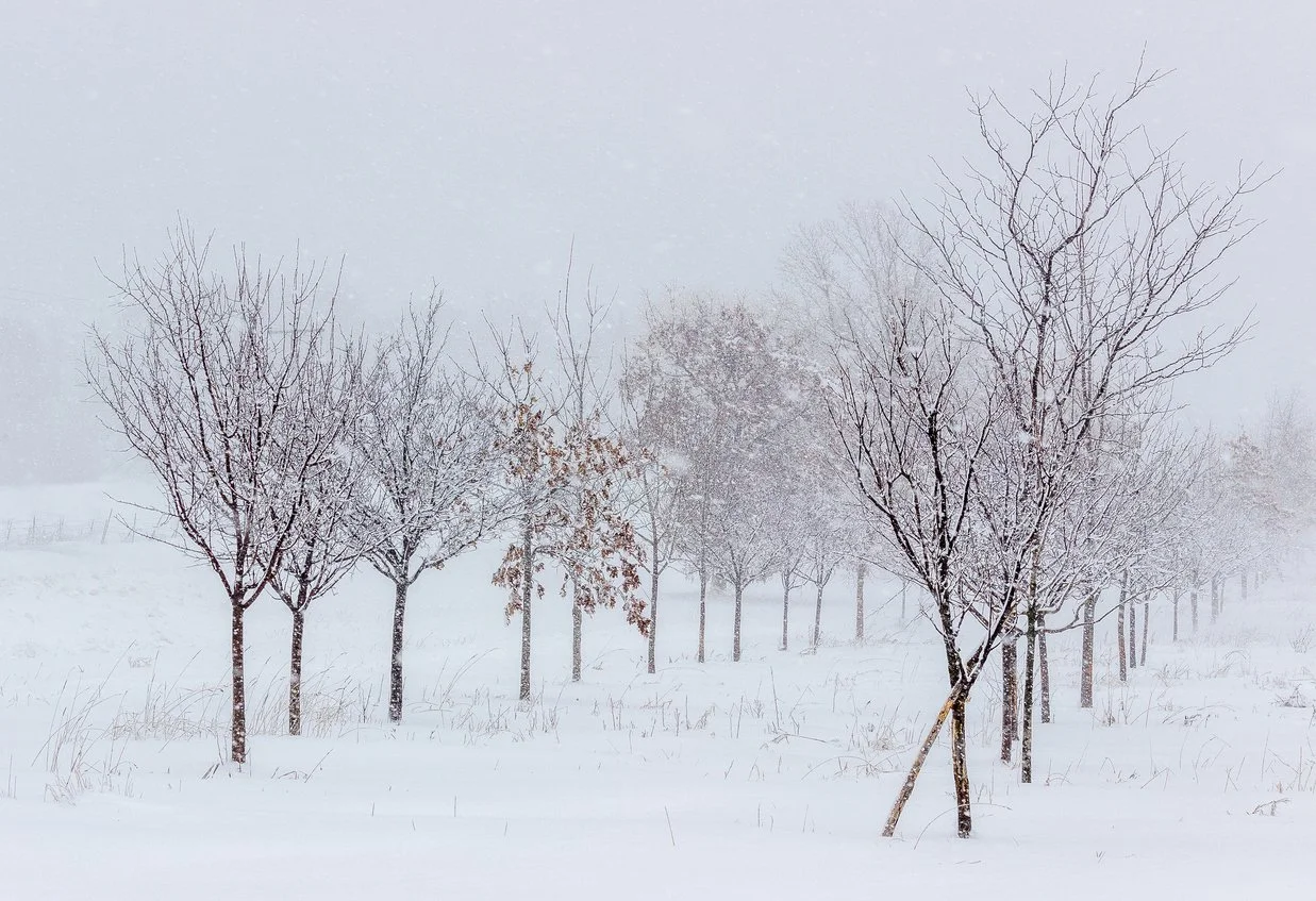 Iowa Land Auction Prices, March 7-13, 2026