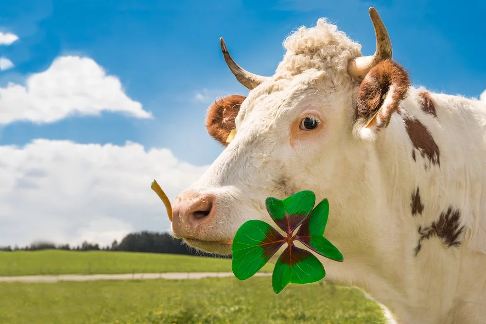 Iowa Land Auction Prices, March 8-14, 2025