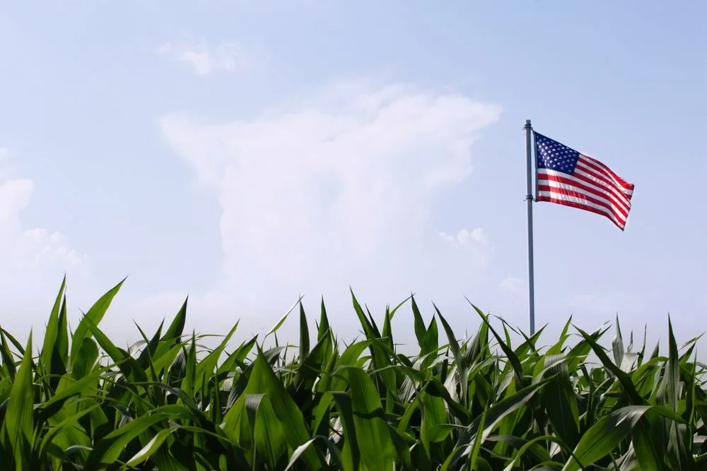 Iowa Land Auction Prices, May 17-23, 2025