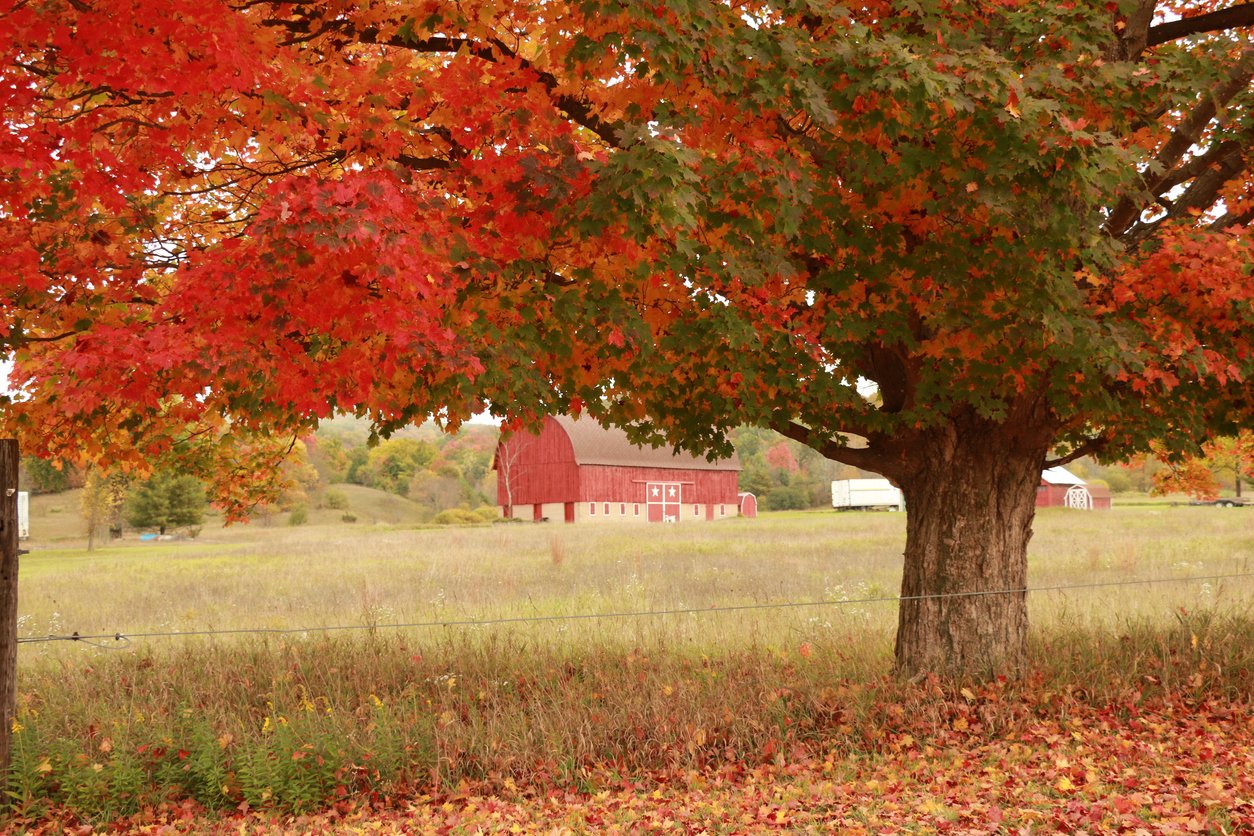 Iowa Land Auction Prices, November 1-7, 2025