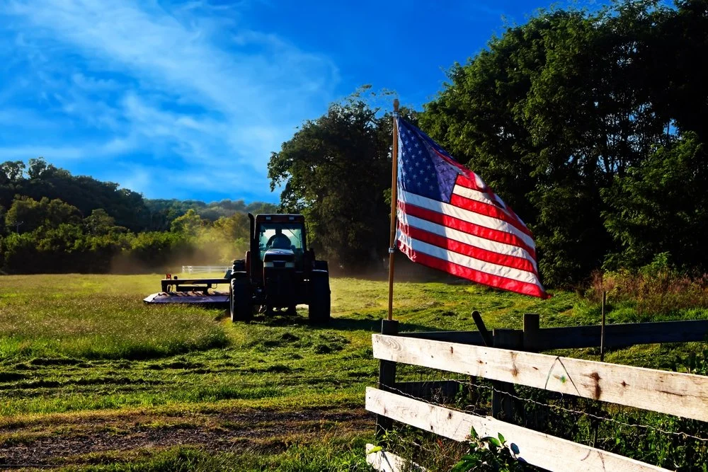 Iowa Land Auction Prices, November 2-8, 2024