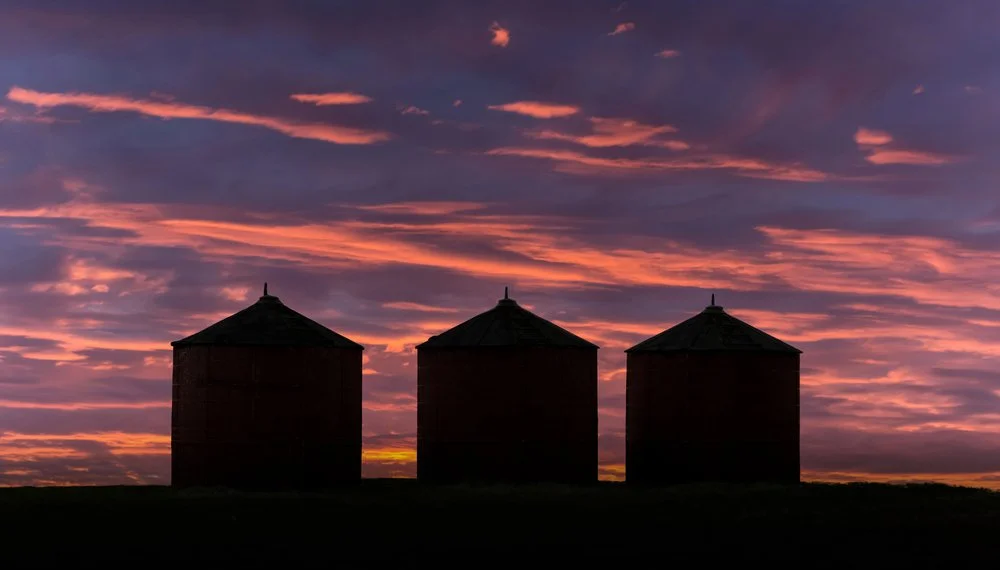 Iowa Land Auction Prices, November 30-December 6, 2024
