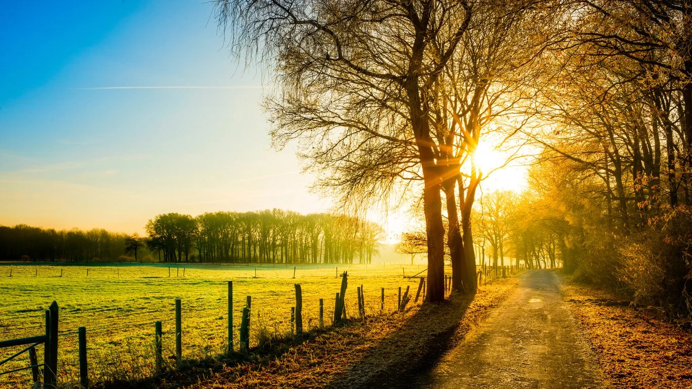 Iowa Land Auction Prices, November 8-14, 2025