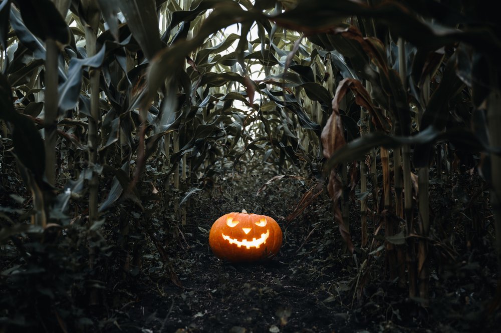 Iowa Land Auction Prices, October 25-31, 2025