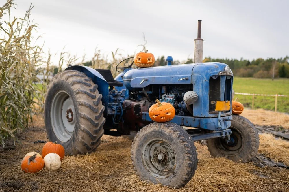 Iowa Land Auction Prices, October 5-11, 2024
