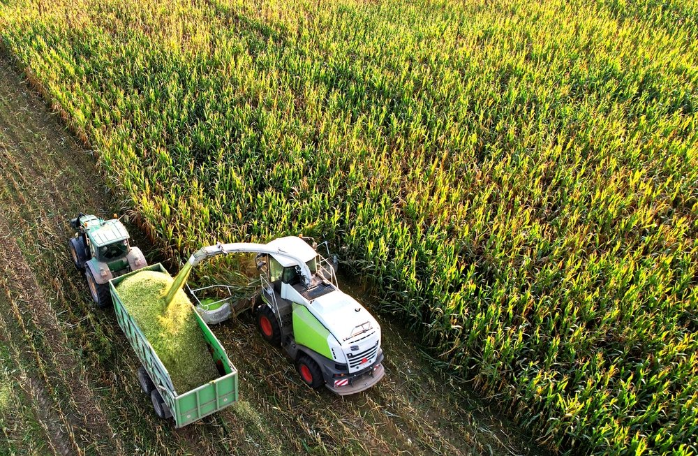 Iowa Land Auction Prices, September 13-19, 2025
