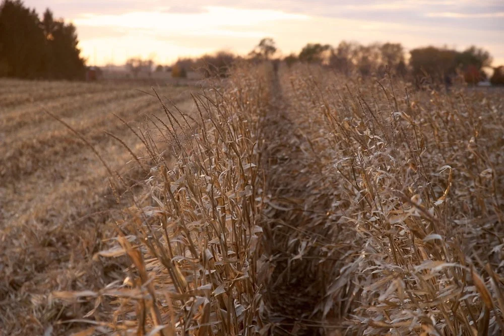 Iowa Land Auction Prices, September 14-20, 2024