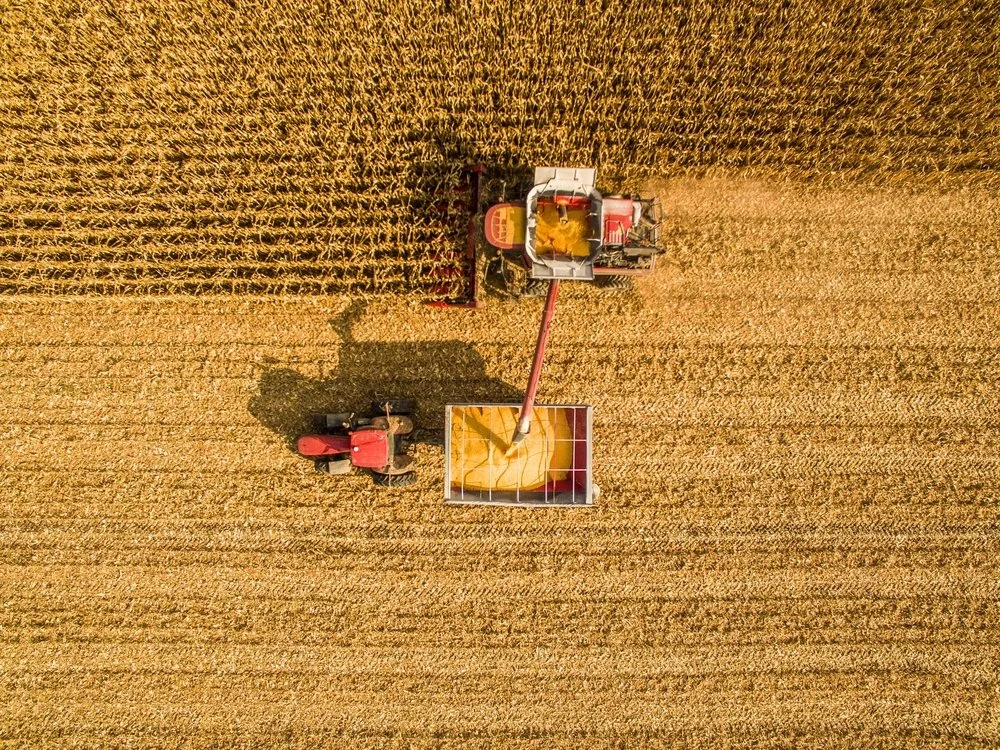 Iowa Land Auction Prices, September 20-26, 2025