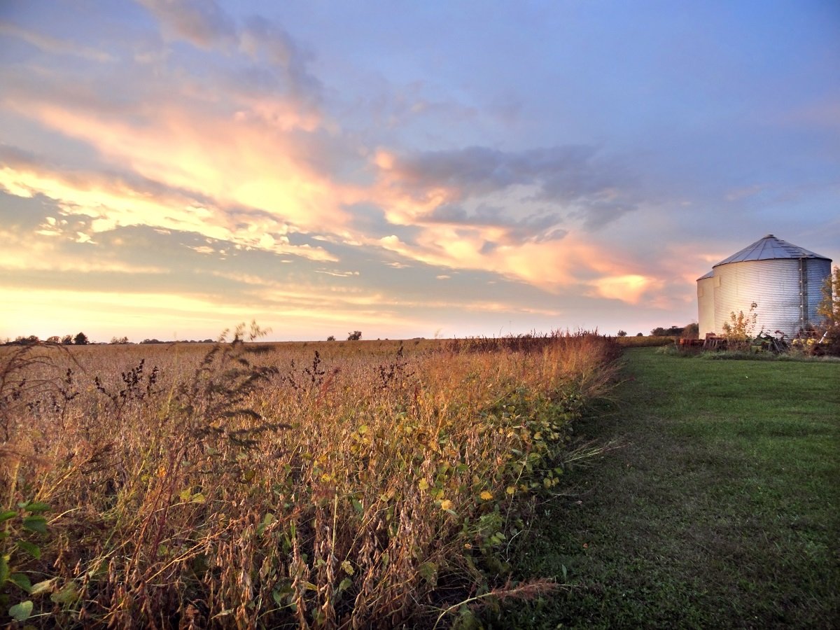 Iowa Land Auction Prices, September 27-October 3, 2025