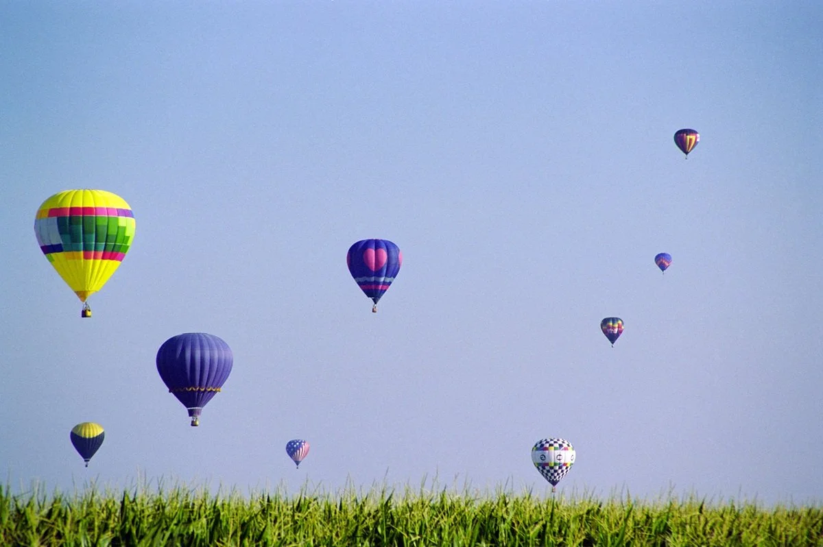 Iowa Land Auction Prices, August 1-7, 2026