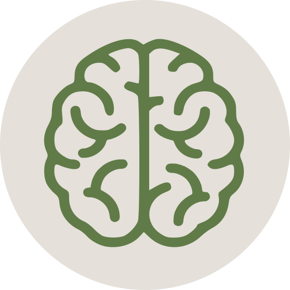 Illustration of a human brain outline with stylized green lines representing the brain's structure on a light gray background.
