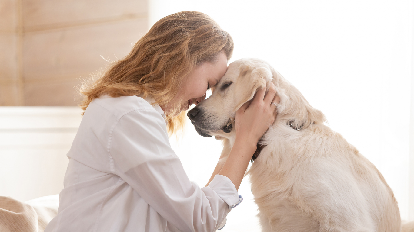 Pet Pros: Are You Charging Enough? 