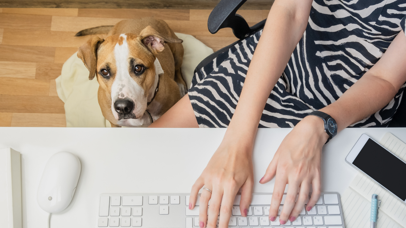 What Does a Bookkeeper Actually Do?
