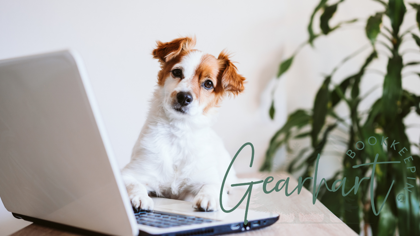 How to Know If Your Pet Business Is Actually Growing (or Just Getting Busier)