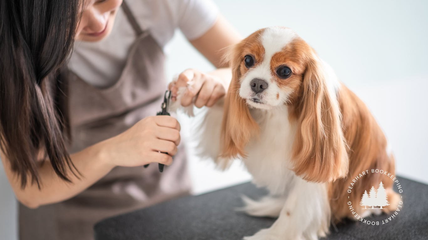 Before You Hire: The Financial Numbers Every Pet Business Owner Should Check