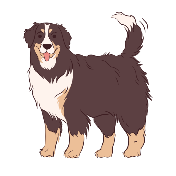 A cartoon illustration of an Australian Shepherd dog, standing and looking happy with its tongue out and tail wagging.