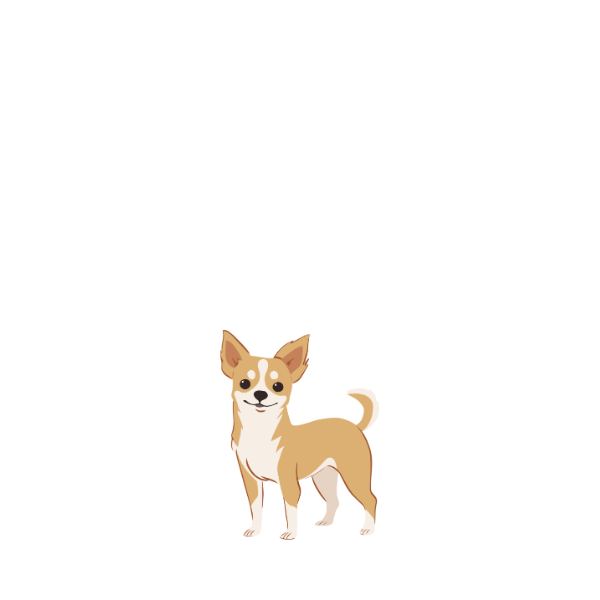 Cartoon Chihuahua dog with a light brown coat, white face, chest, and paws, standing on a white background.